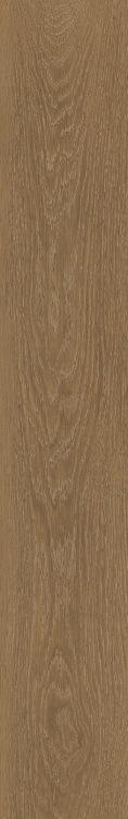 Time Wood Essence 7.5 x 48